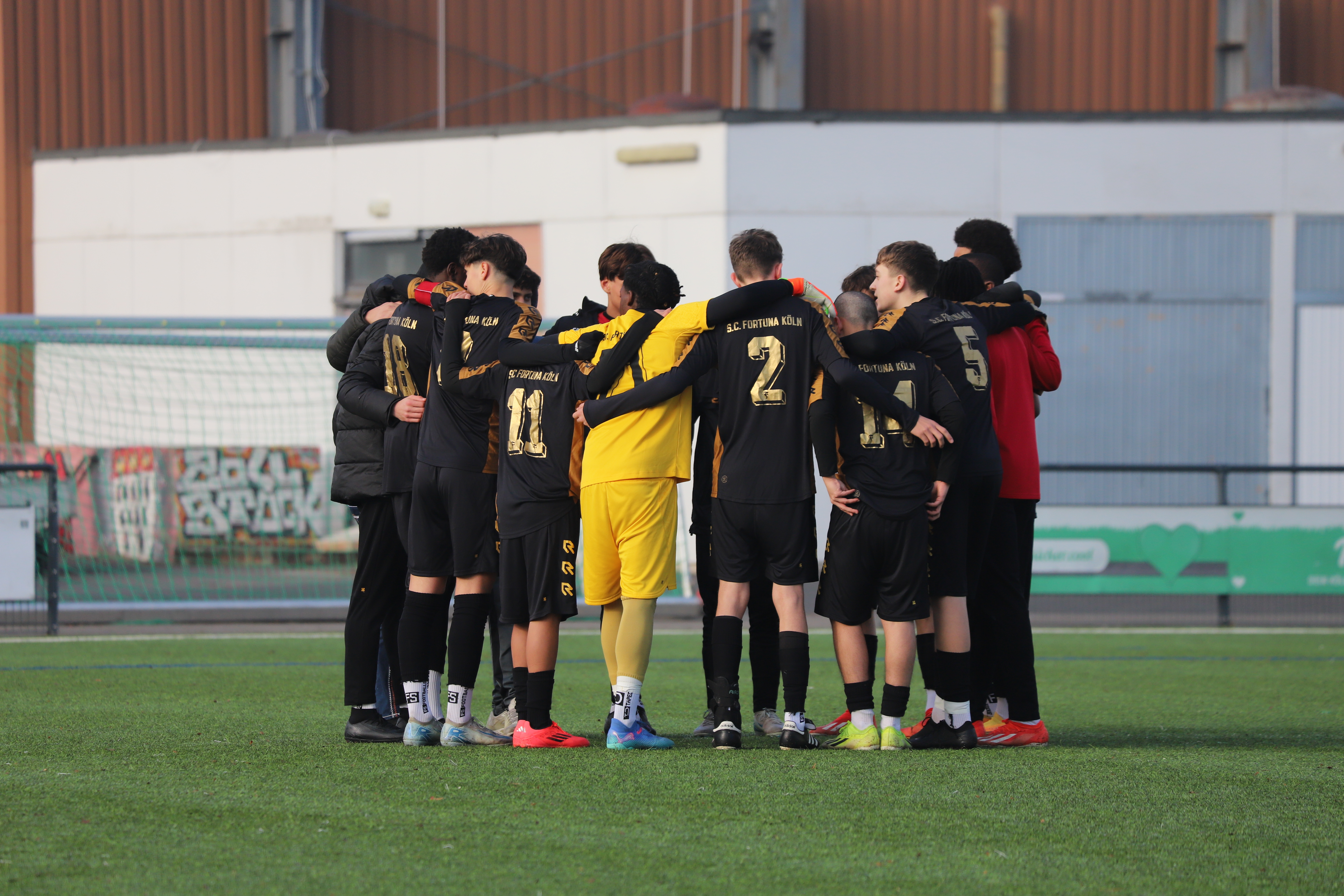 4-недельный проект